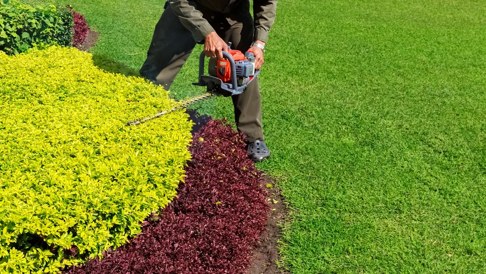 Hedge Trimming in Washington