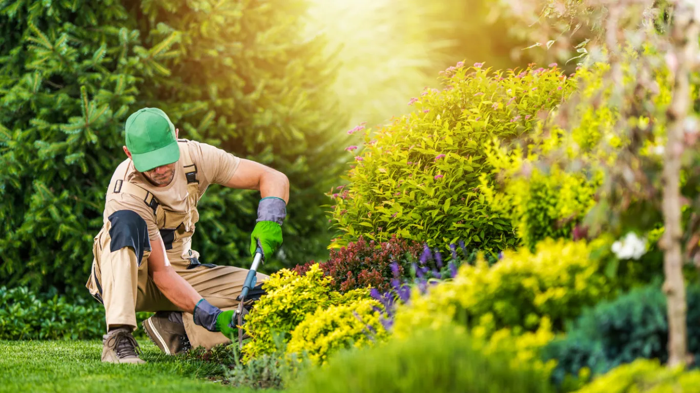 Landscapers Washington