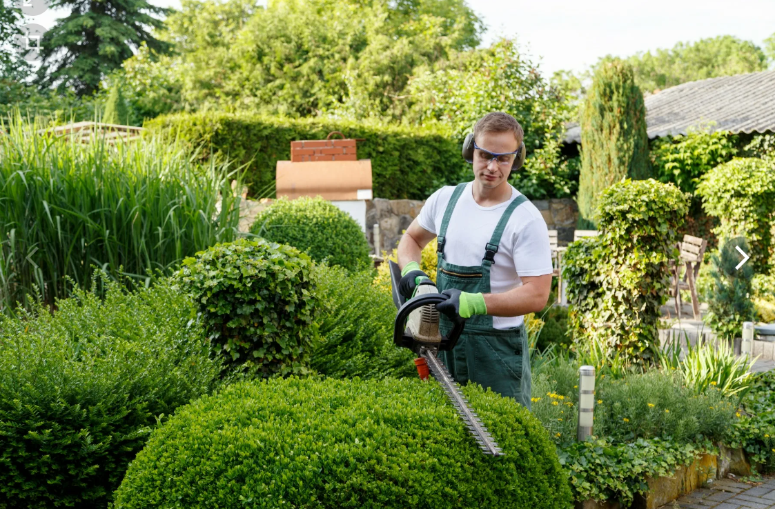 Landscapers Washington