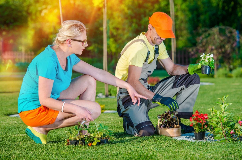 Common Landscaping Mistakes