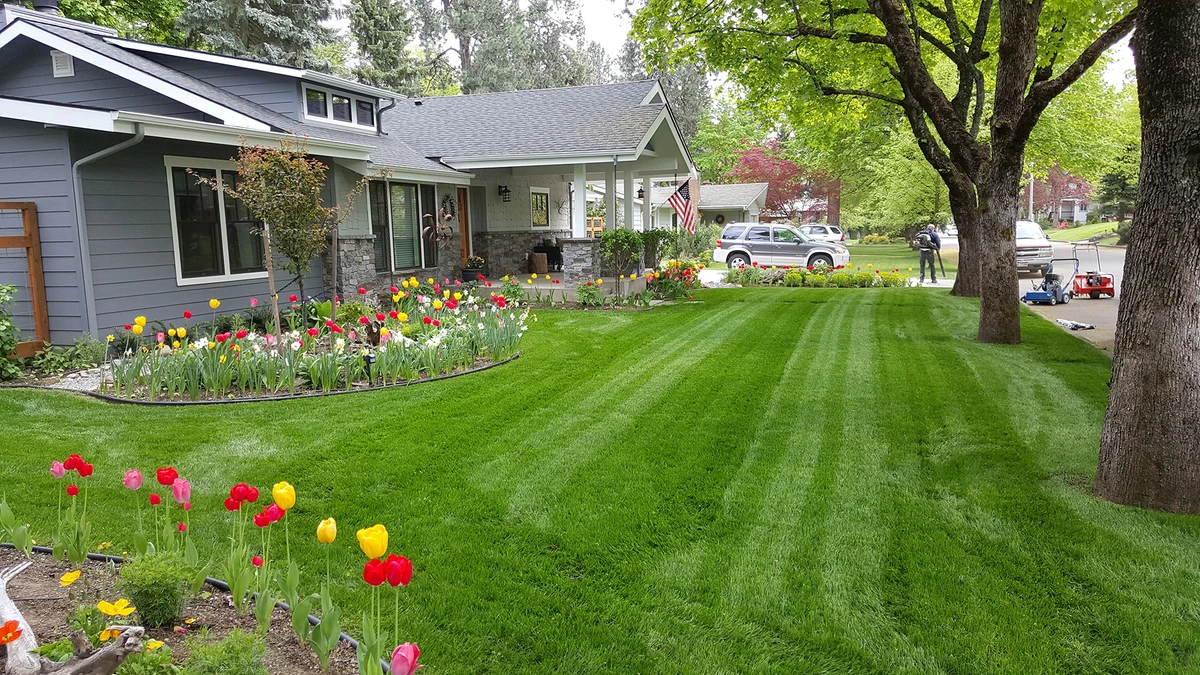 Washington Landscaping