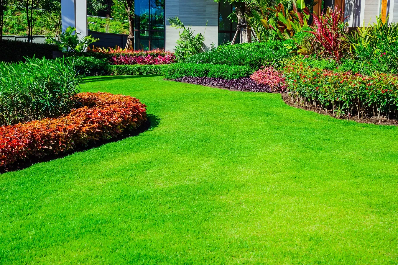 Landscaping Services in Washington